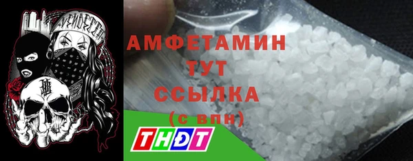 гидра Богданович