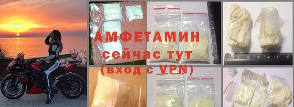 гидра Богданович