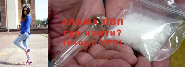 гидра Богданович