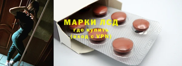 гидра Богданович