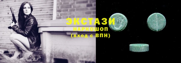 гидра Богданович