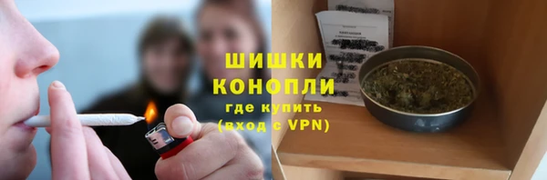 гидра Богданович