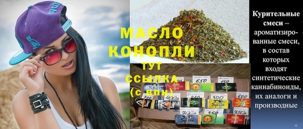 гидра Богданович